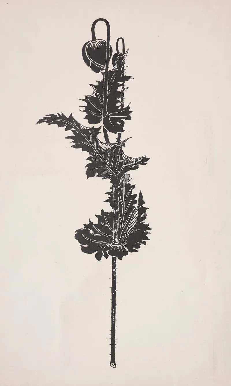 Flower Study 42 Wall Art by Harry Fenn - High-Resolution Digital Print