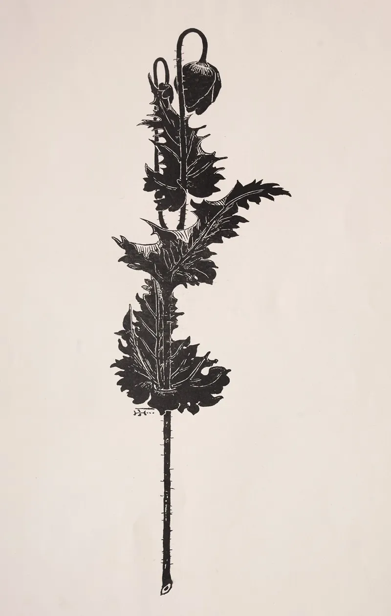 Flower Study 43 Wall Art by Harry Fenn - High-Resolution Digital Print