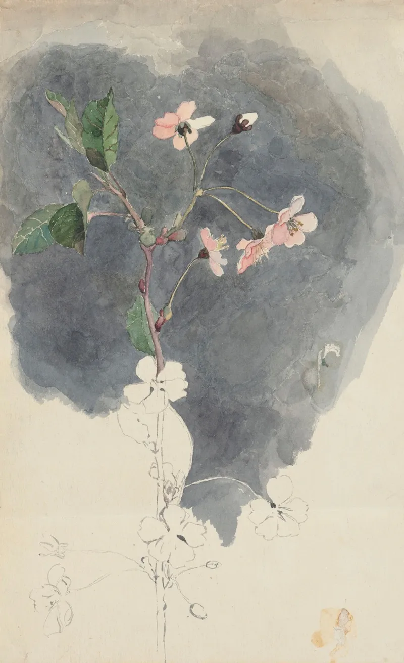 Flower Study 5