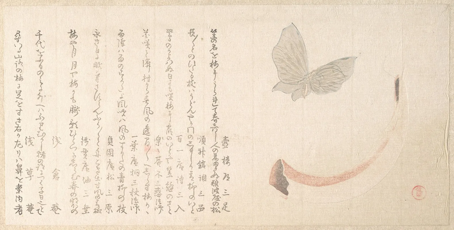 Flower Vase Of Horn And A Butterfly