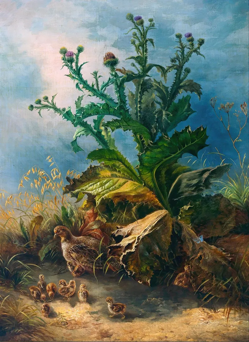 Flowering Thistles With A Black Grouse Family Wall Art by Friedrich Schauta-Moos - High-Resolution Digital Print
