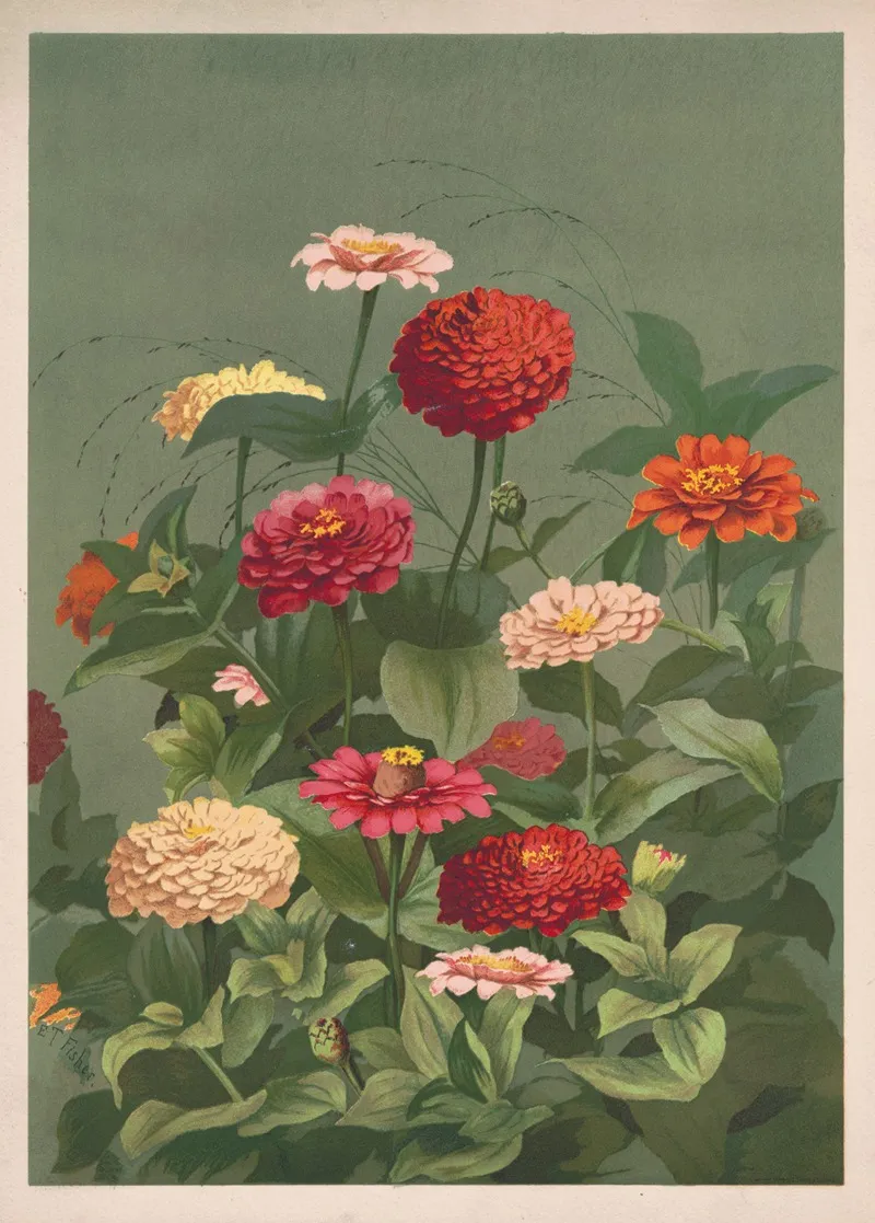 Flowers 41
