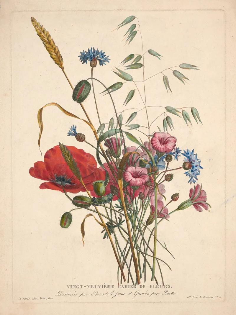 Flowers 42 Wall Art by Louis Charles Ruotte - High-Resolution Digital Print