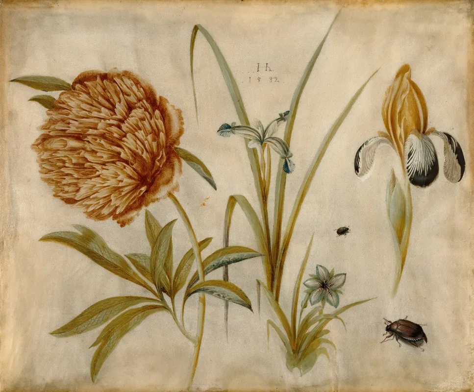 Flowers And Beetles Wall Art by Hans Hoffmann - High-Resolution Digital Print