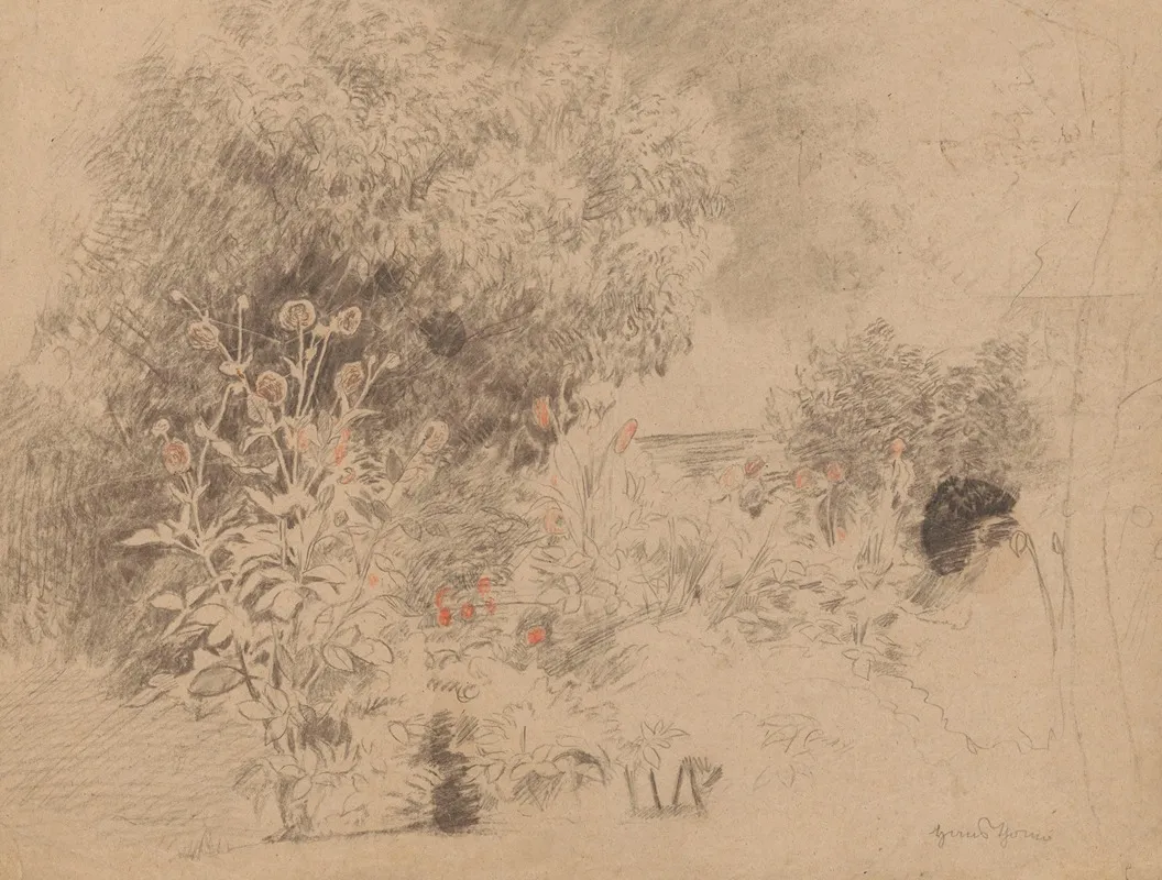 Flowers And Bushes