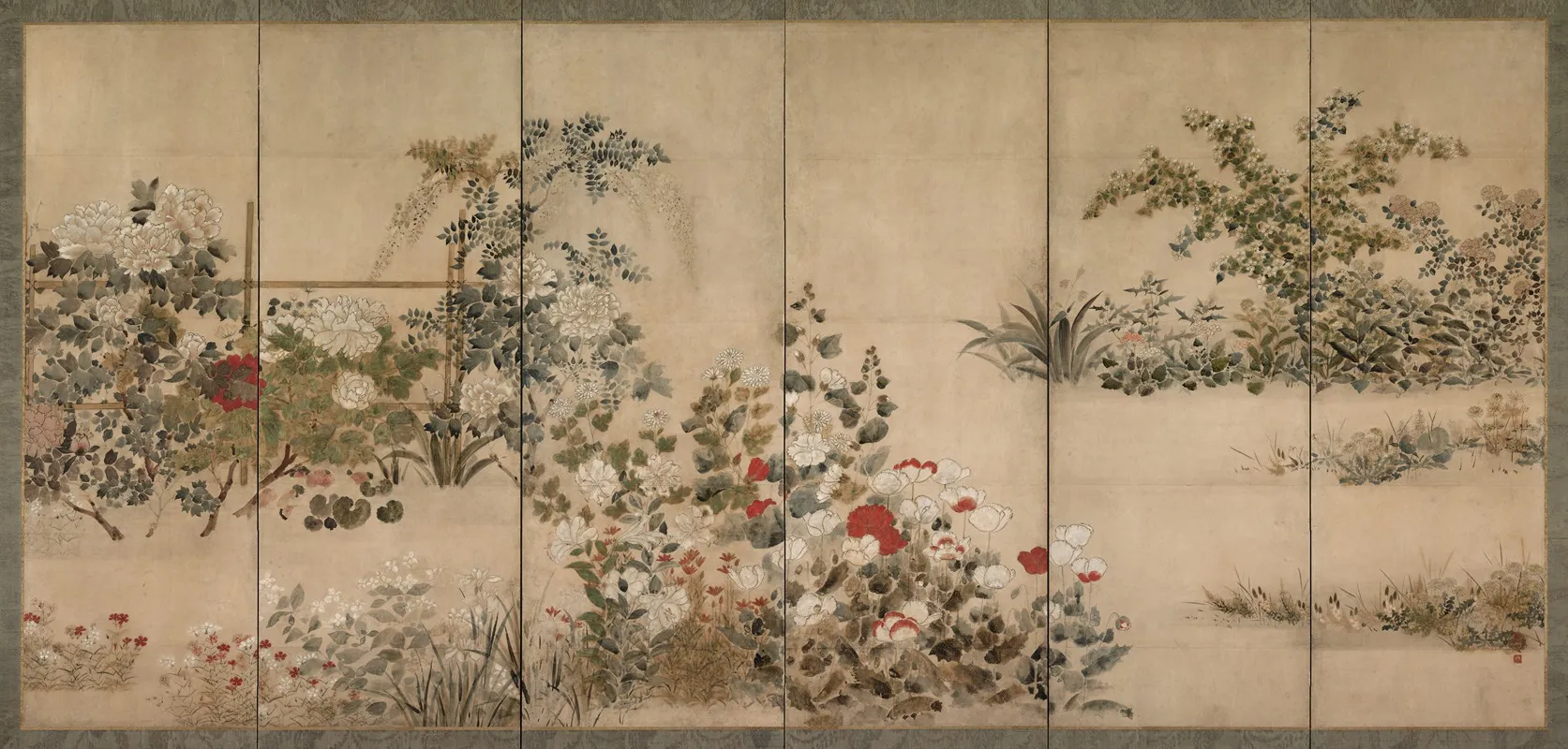 Flowers And Grasses