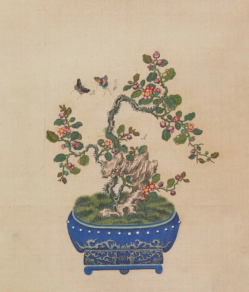 Flowers Birds And Insects Pl 10 Wall Art by Anonymous - High-Resolution Digital Print