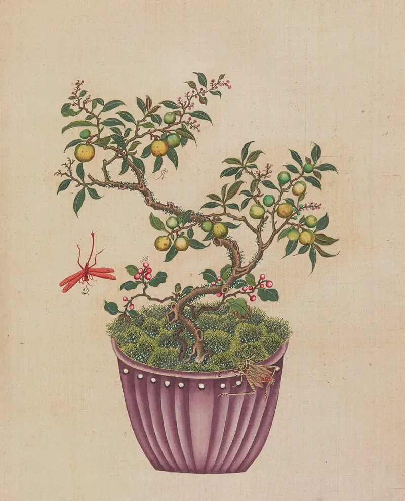 Flowers Birds And Insects Pl 15 Wall Art by Anonymous - High-Resolution Digital Print