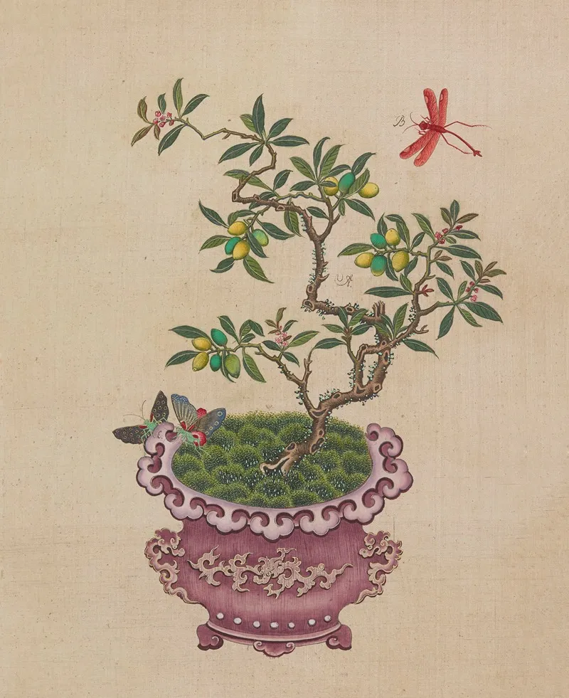Flowers Birds And Insects Pl 18 Wall Art by Anonymous - High-Resolution Digital Print