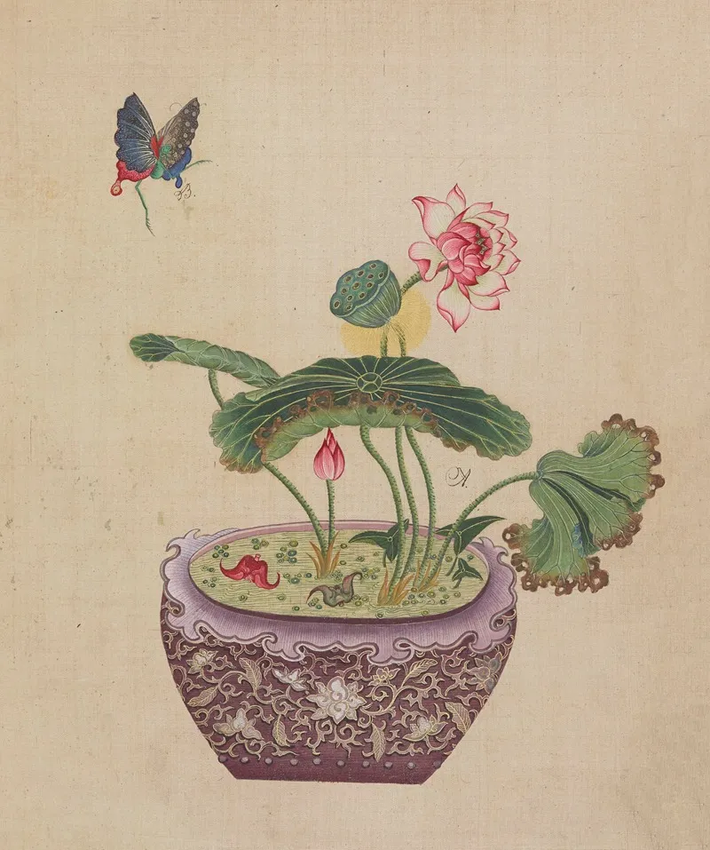 Flowers Birds And Insects Pl 22 Wall Art by Anonymous - High-Resolution Digital Print