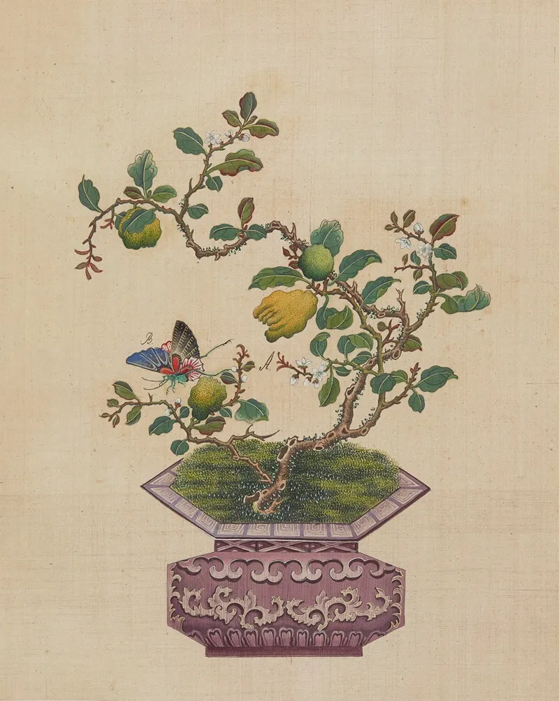 Flowers Birds And Insects Pl 31 Wall Art by Anonymous - High-Resolution Digital Print