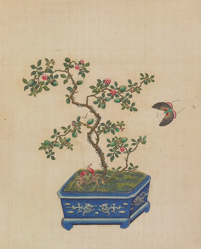 Flowers Birds And Insects Pl 35 Wall Art by Anonymous - High-Resolution Digital Print