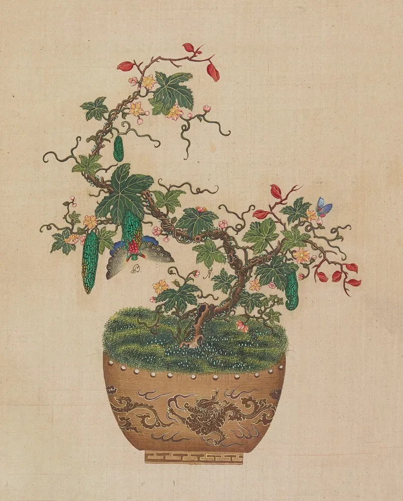 Flowers Birds And Insects Pl 36 Wall Art by Anonymous - High-Resolution Digital Print