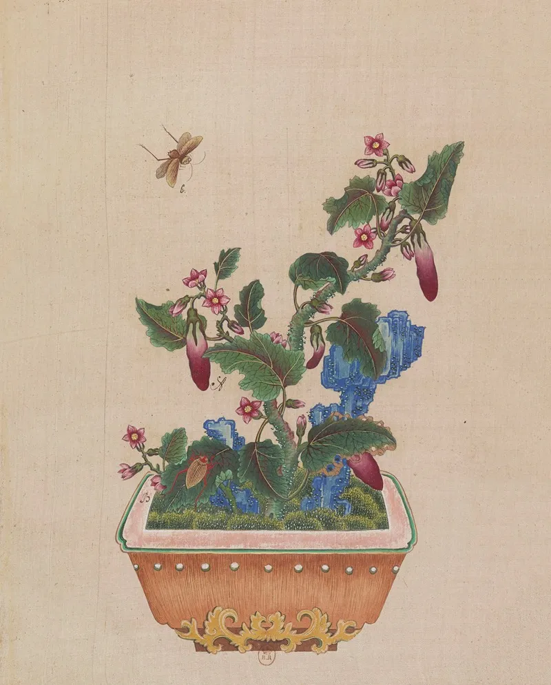 Flowers Birds And Insects Pl 40 Wall Art by Anonymous - High-Resolution Digital Print