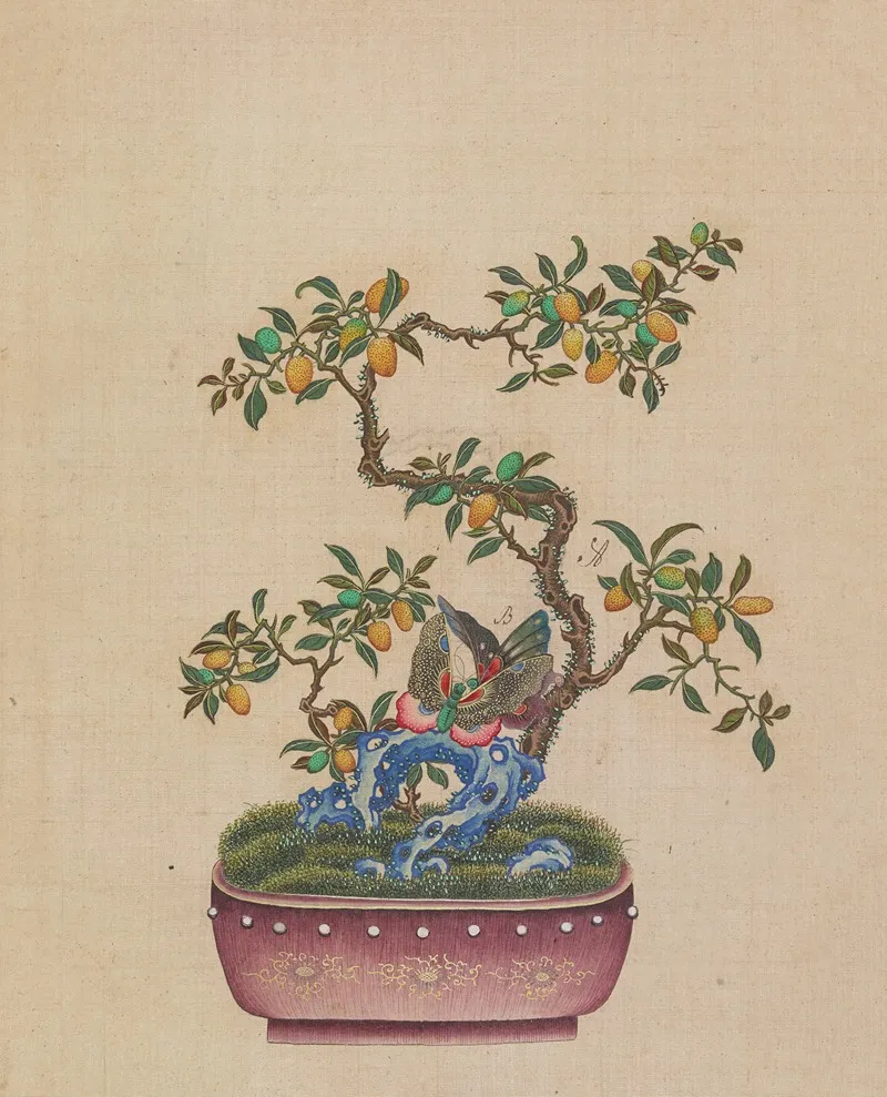 Flowers Birds And Insects Pl 42 Wall Art by Anonymous - High-Resolution Digital Print