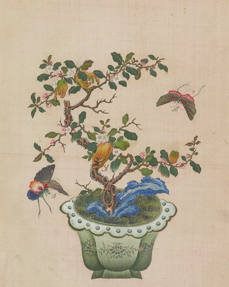 Flowers Birds And Insects Pl 43 Wall Art by Anonymous - High-Resolution Digital Print
