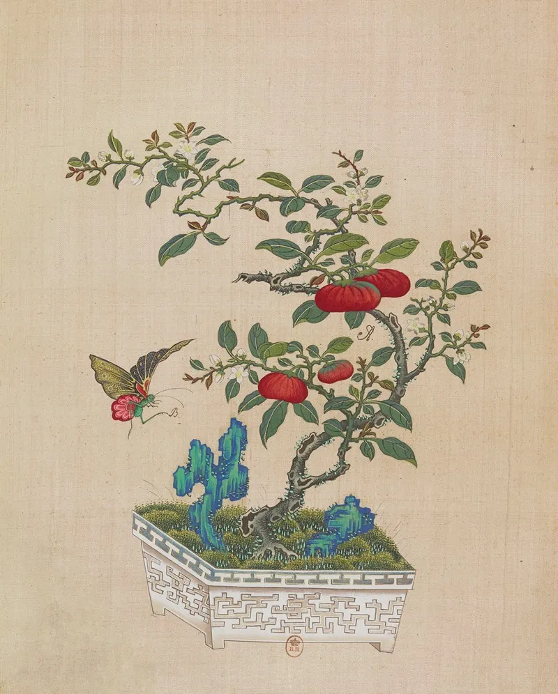 Flowers Birds And Insects Pl 46 Wall Art by Anonymous - High-Resolution Digital Print