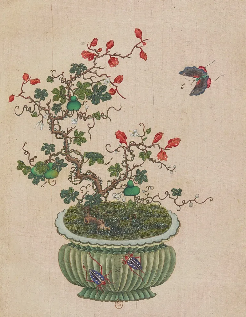 Flowers Birds And Insects Pl 47 Wall Art by Anonymous - High-Resolution Digital Print