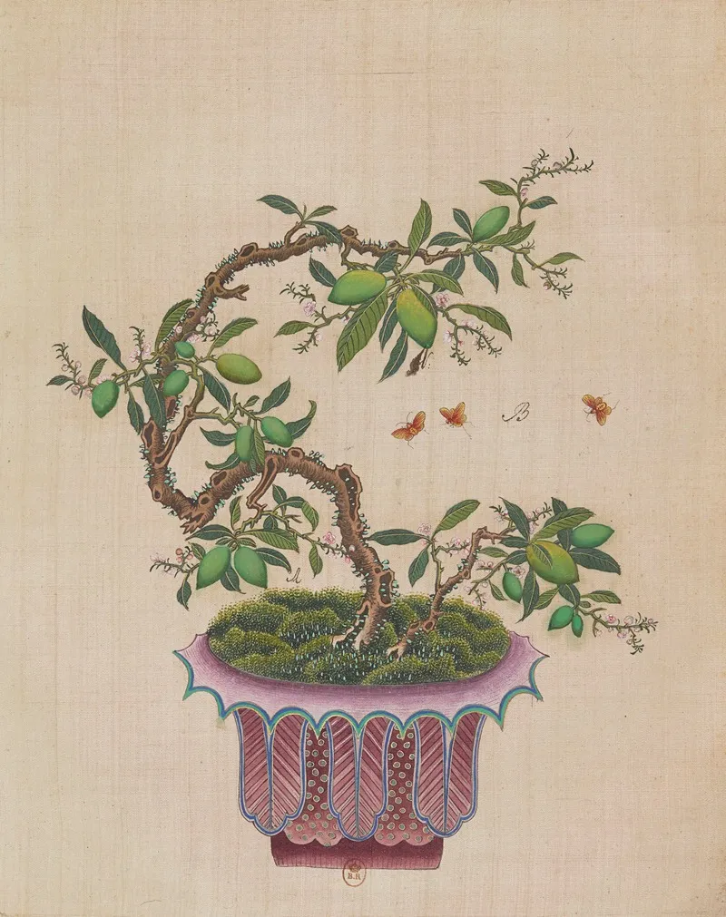 Flowers Birds And Insects Pl 48 Wall Art by Anonymous - High-Resolution Digital Print