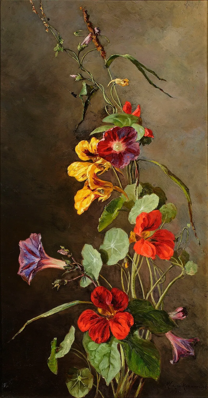 Flowers Nasturtiums
