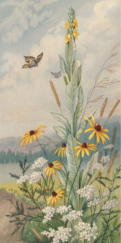 Flowers Of The Meadow