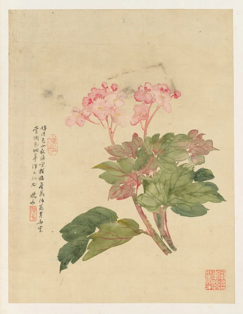 Flowers Pl 09 Wall Art by Liang Yuwei - High-Resolution Digital Print