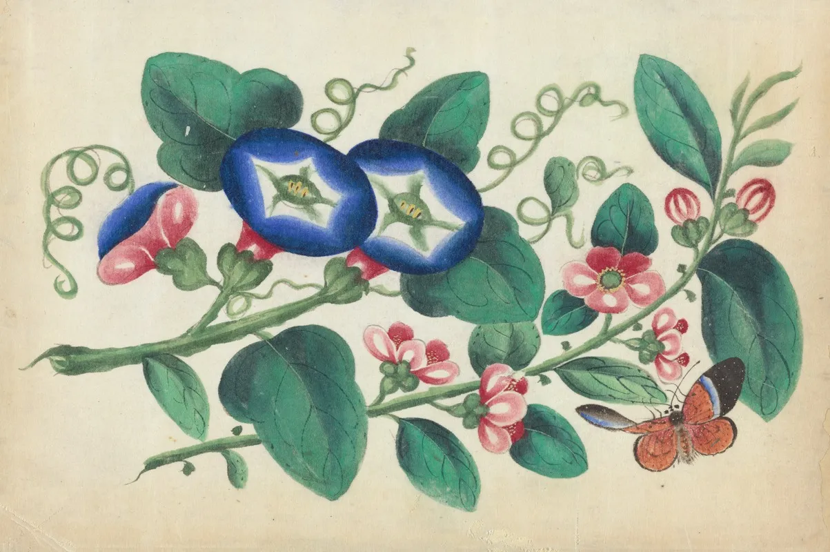 Flowers With Butterfly