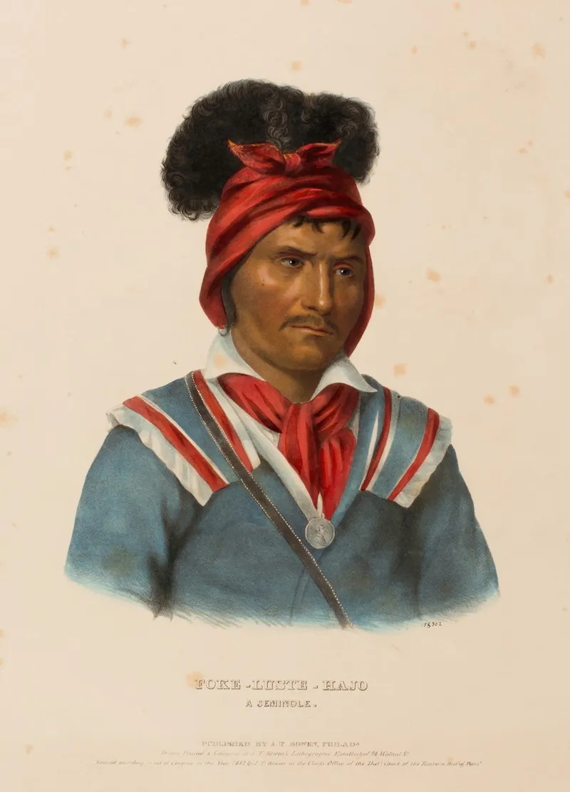 Foke Luste Hajo A Seminole