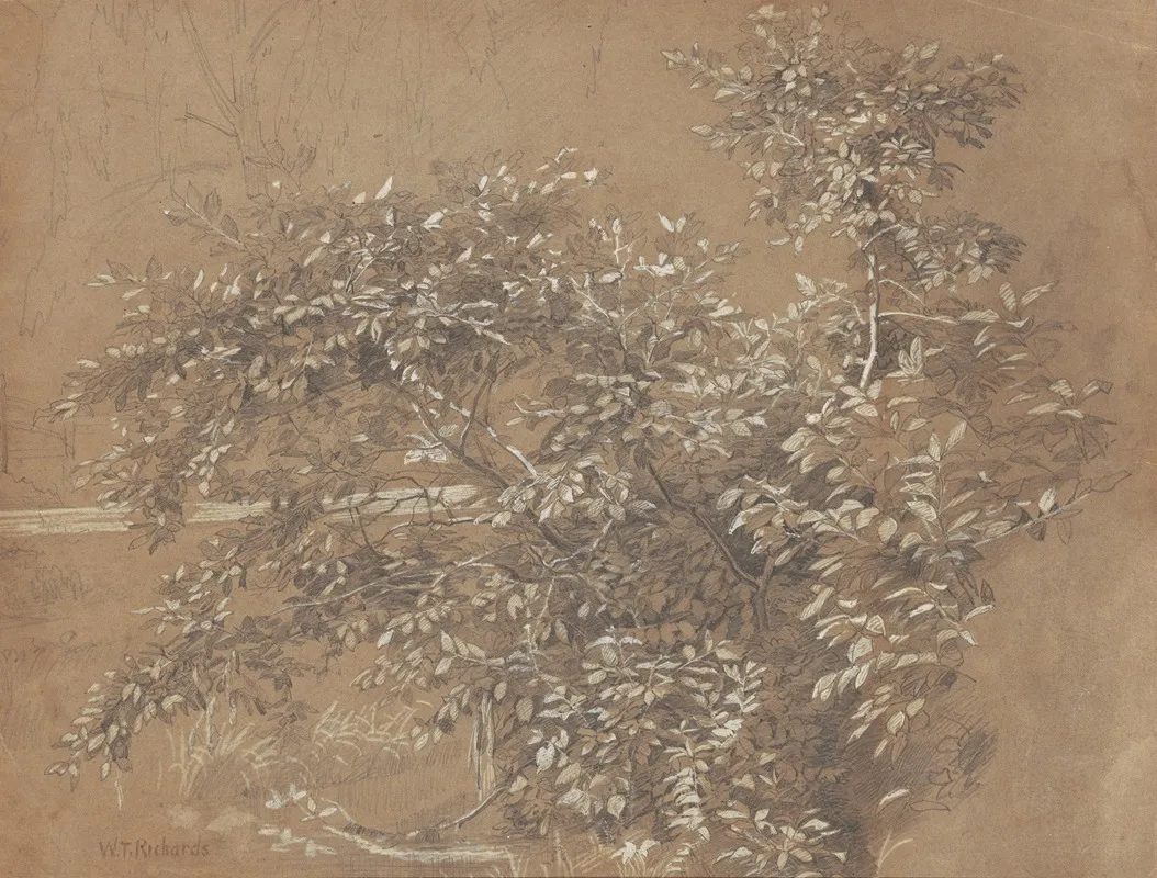 Foliage