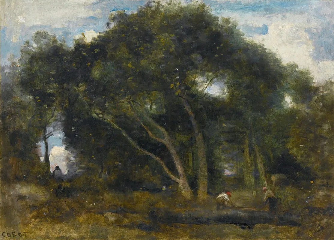 Fontainebleau Chenes Inclines Dans Une Eclaircie De Foret