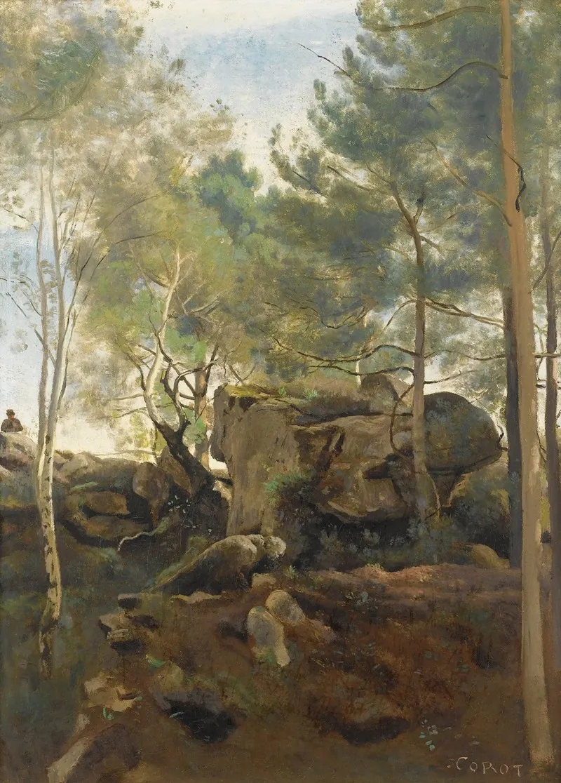 Fontainebleau Pins Et Bouleaux Dans Les Rochers