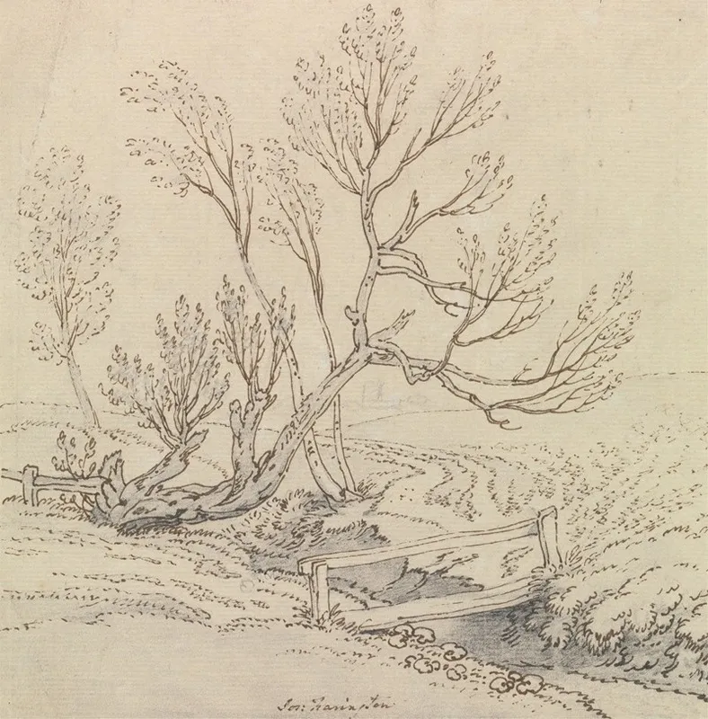 Footbridge Over A Stream Near A Willow Tree