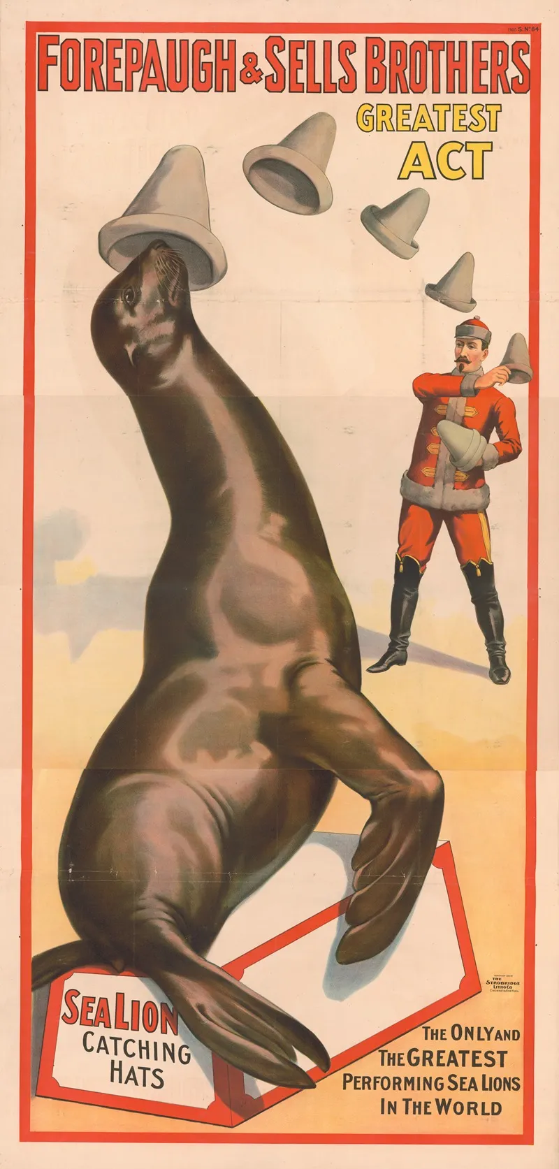 Forepaugh Sells Brothers Greatest Act The Only And The Greatest Performing Sea Lions In The World