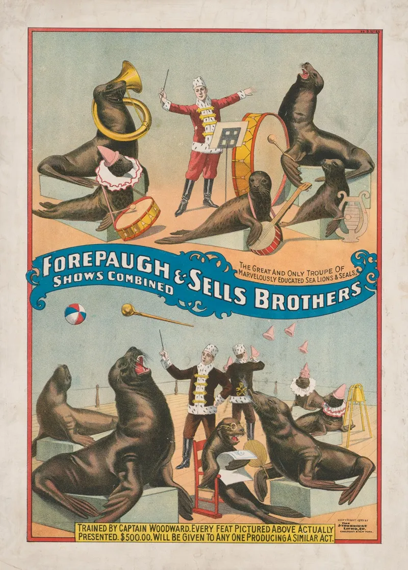 Forepaugh Sells Brothers Shows Combined The Great And Only Troupe Of Marvelously Educated Sea Lions Seals