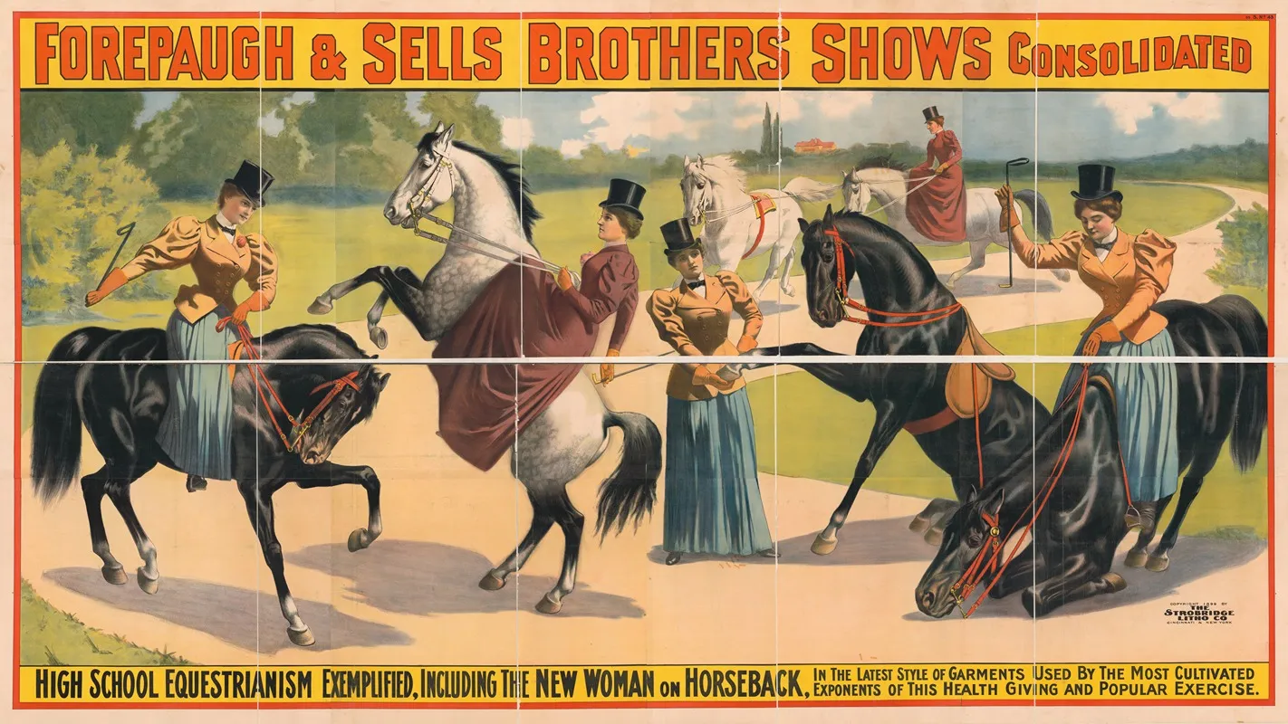 Forepaugh Sells Brothers Shows Consolidated High School Equestrianism Exemplified Including The New Woman On Horseback