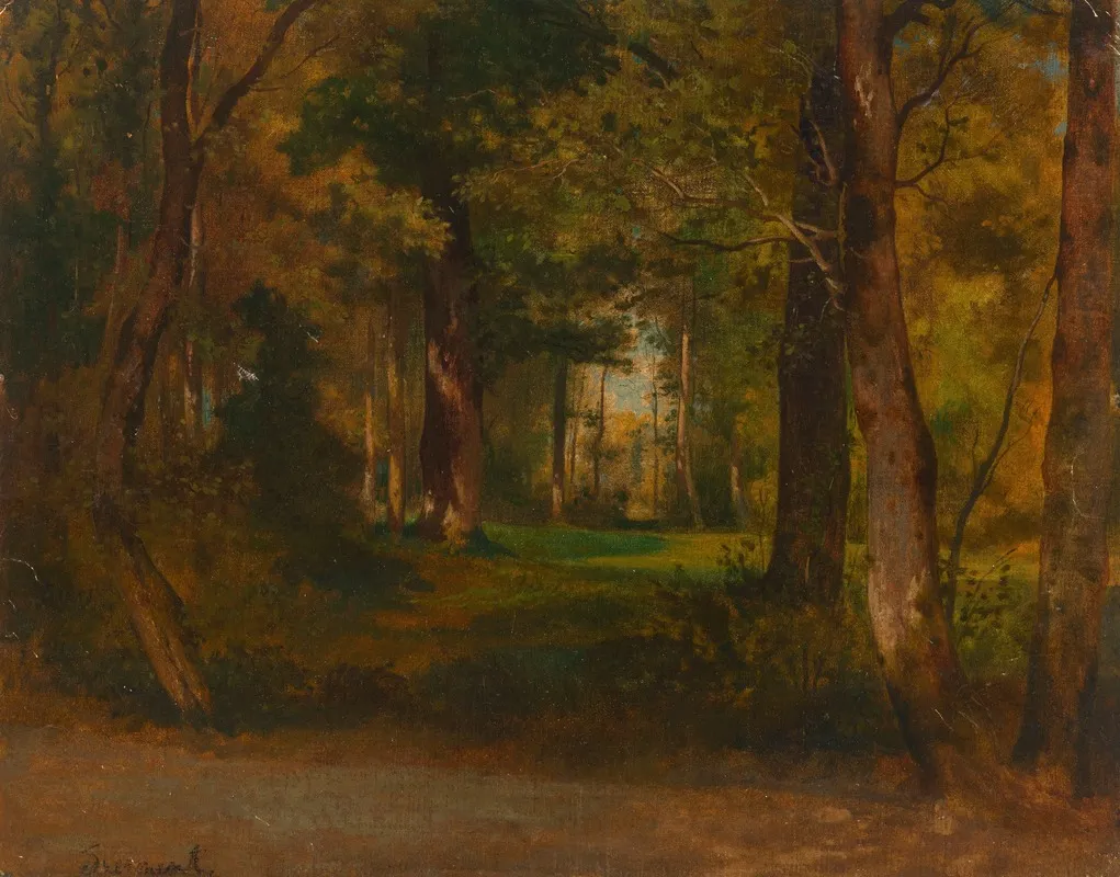Forest 11