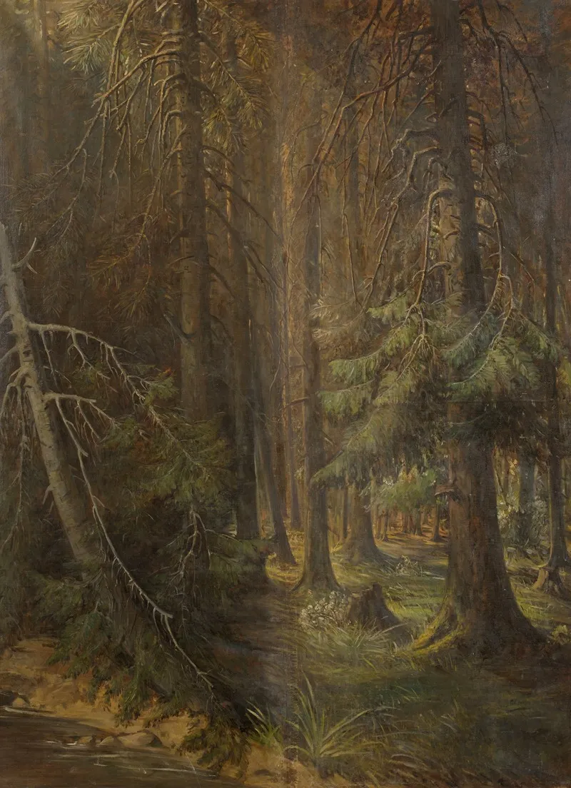 Forest 13