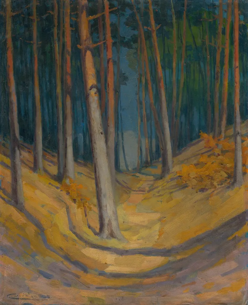 Forest 5