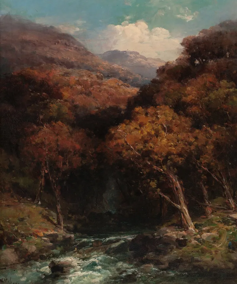 Forest Creek Bed