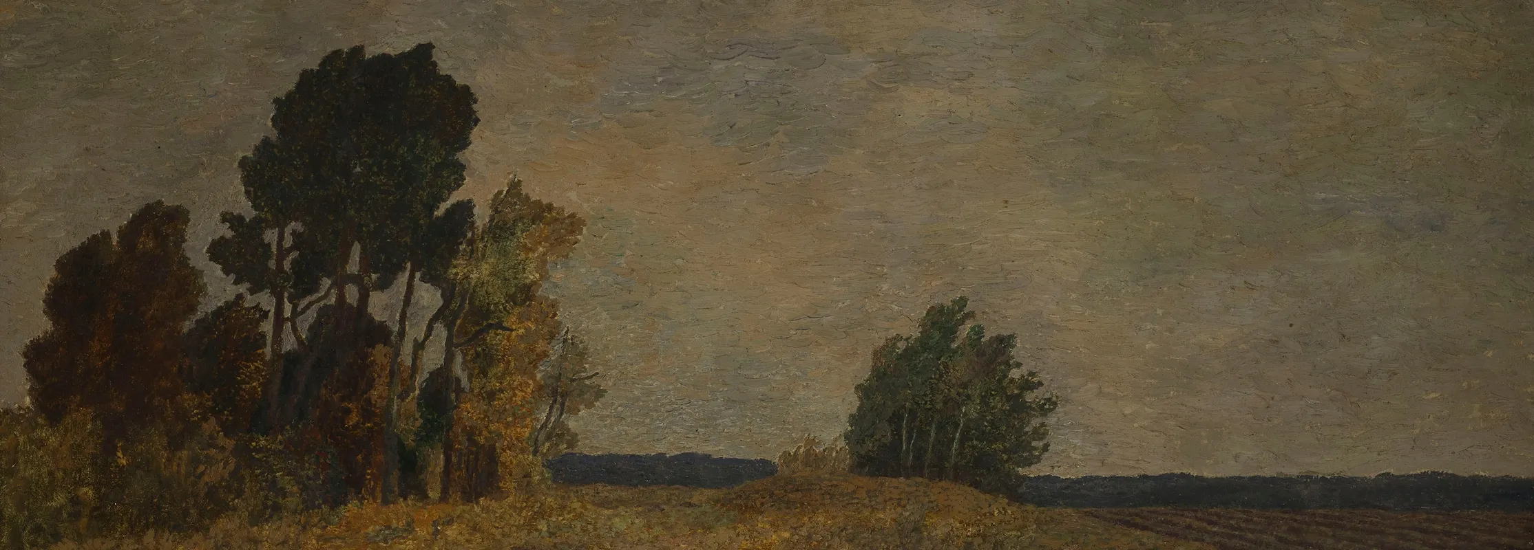 Forest Edge 2