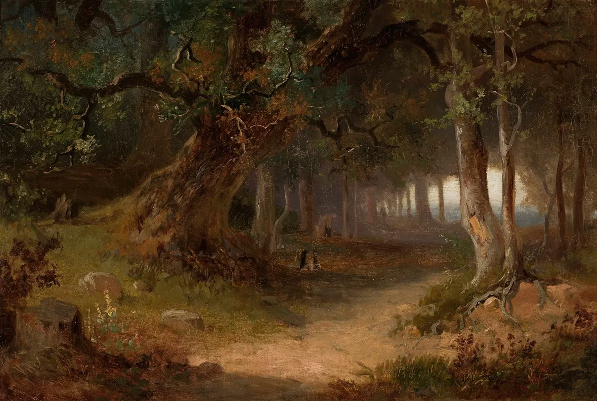 Forest Edge