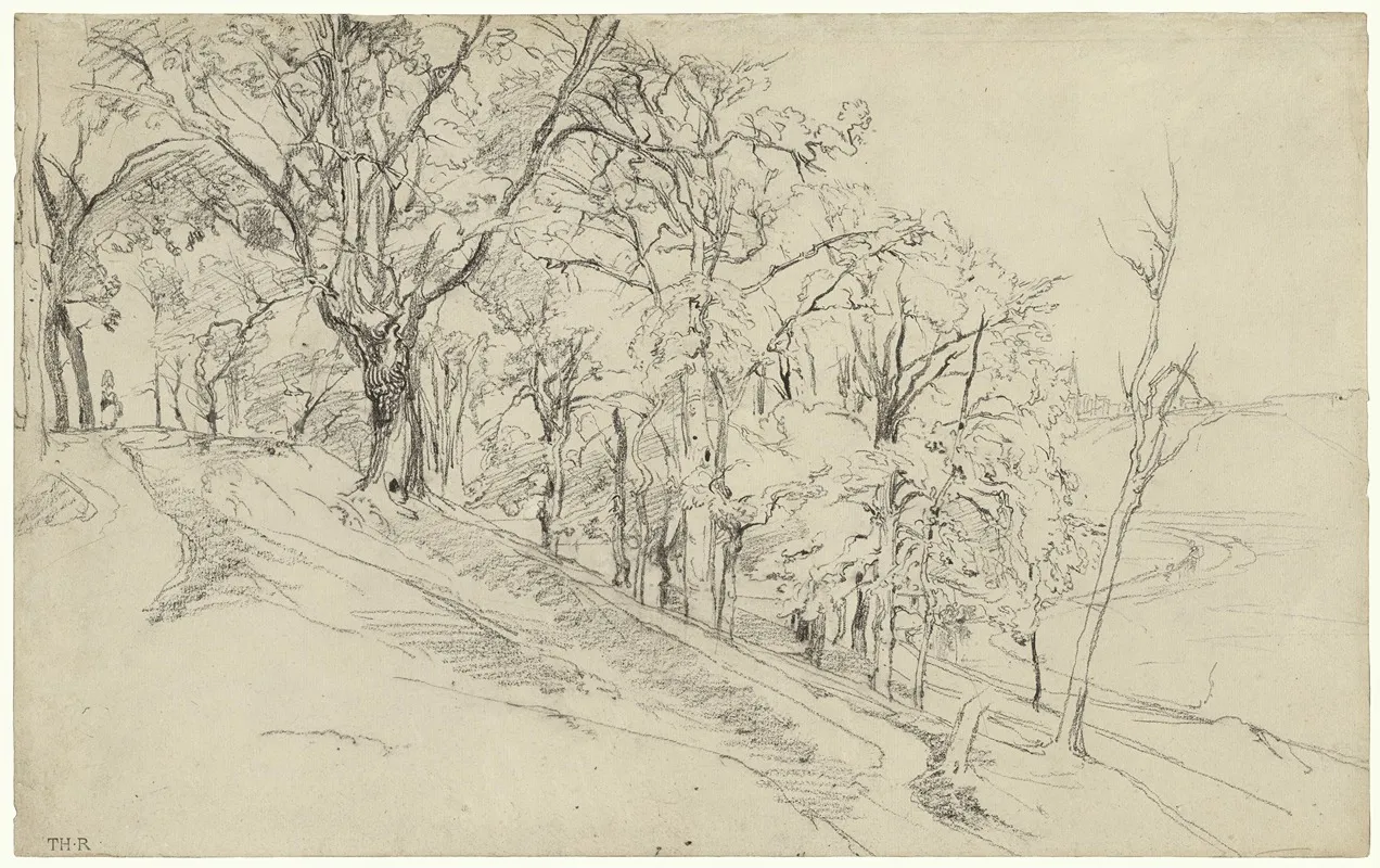 Forest In Boisremond