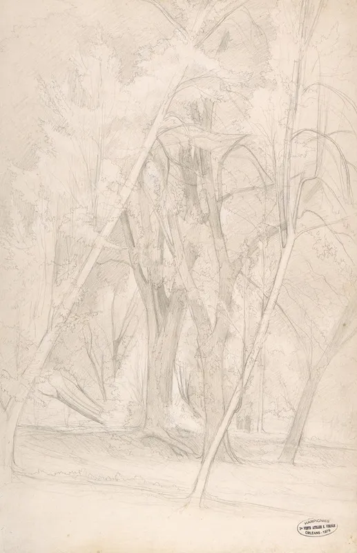 Forest Interior 2