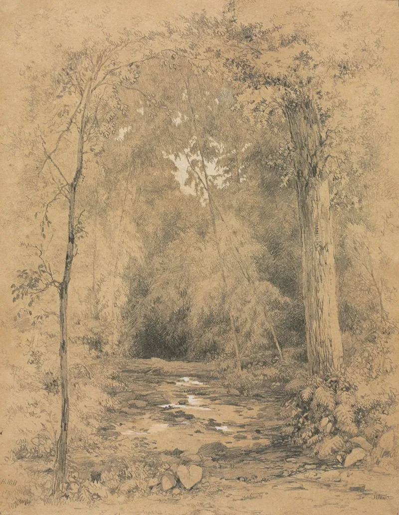 Forest Interior 7