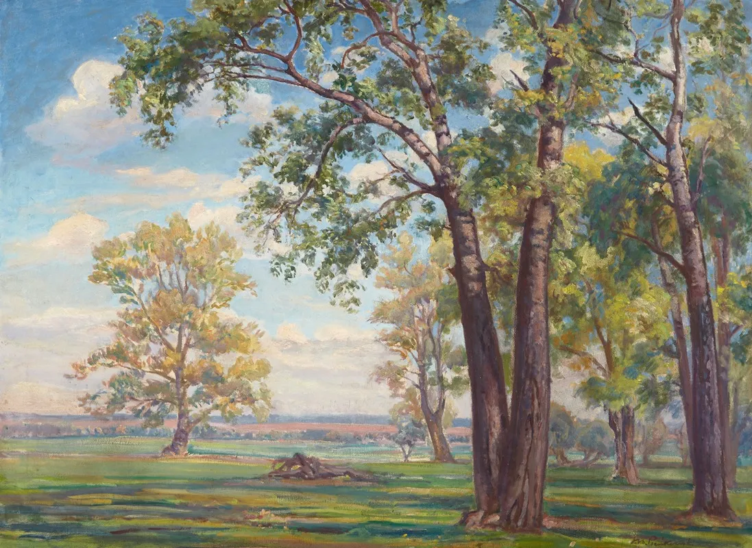 Forest Landscape 5