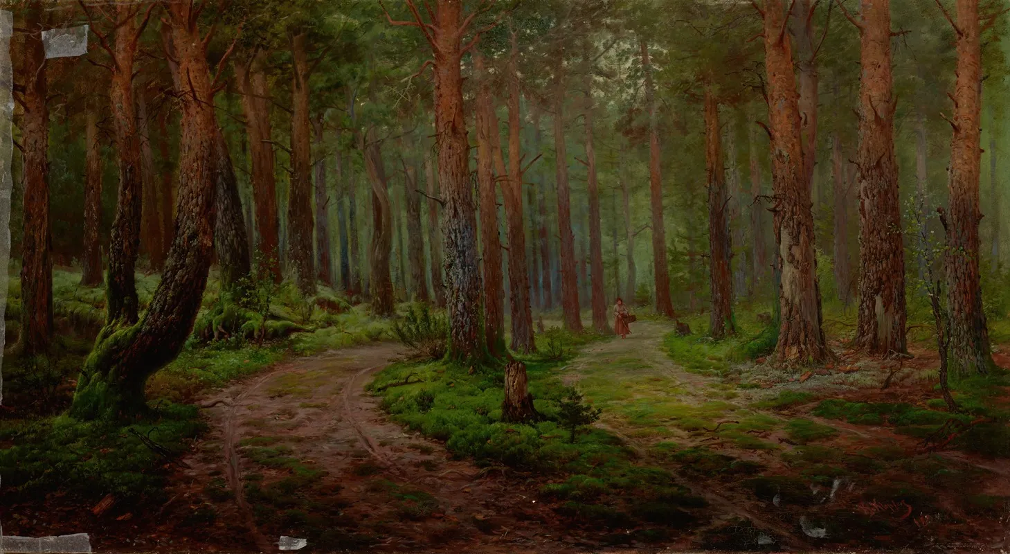 Forest Landscape 6