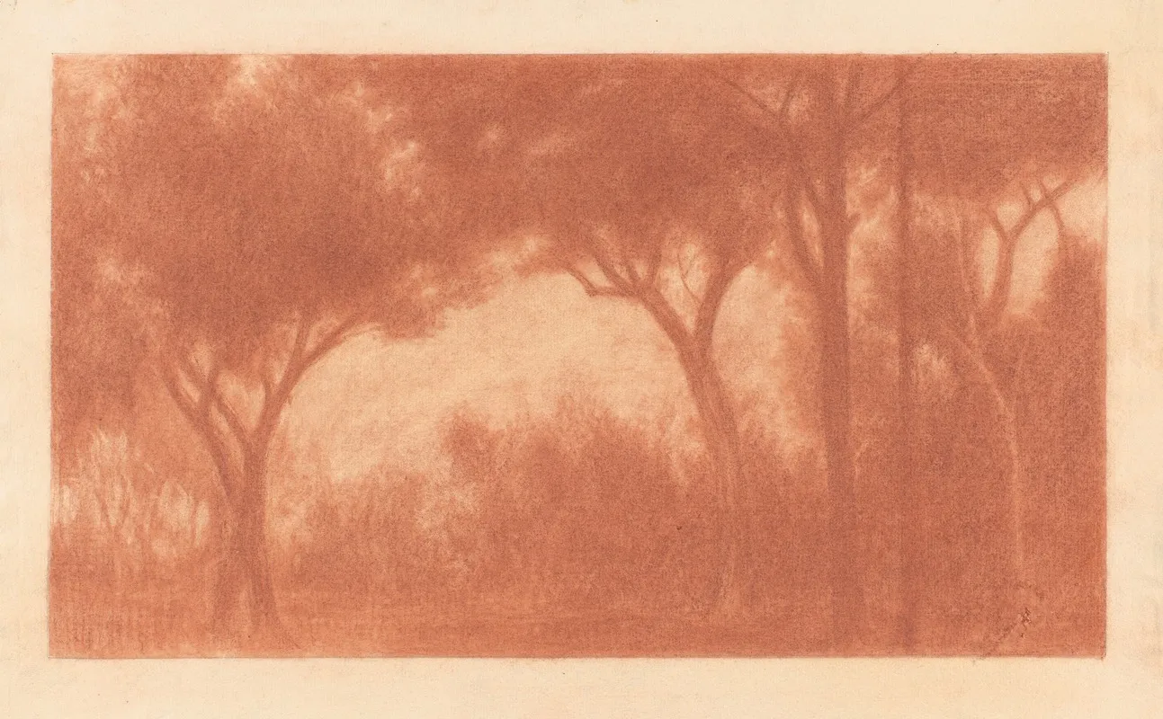 Forest Landscape With A Clearing