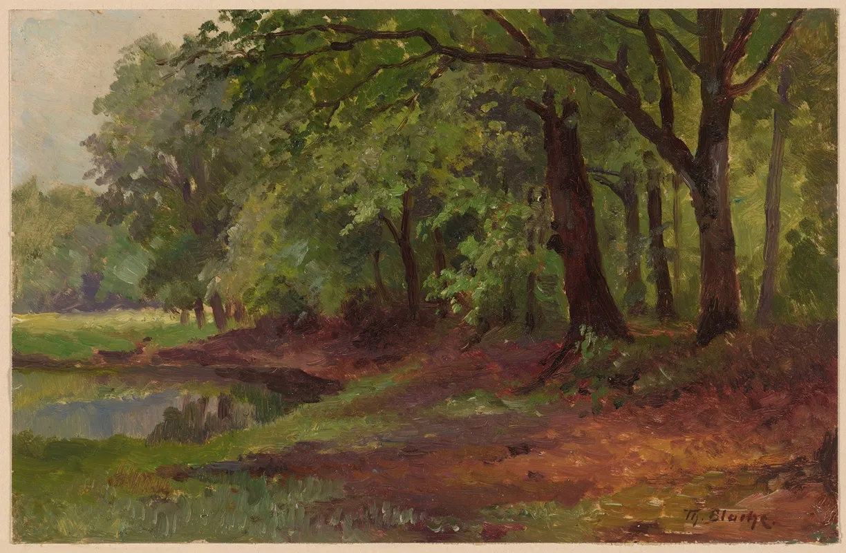 Forest Lanscape And A Pond