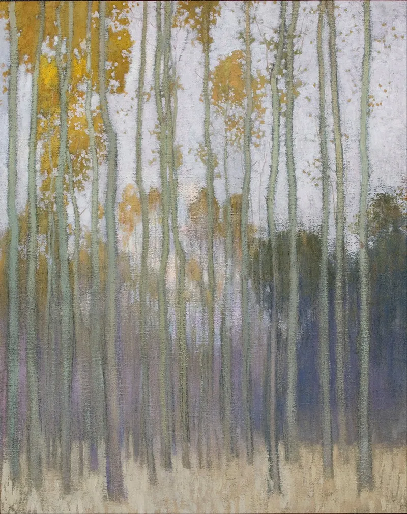 Forest Morning Sun