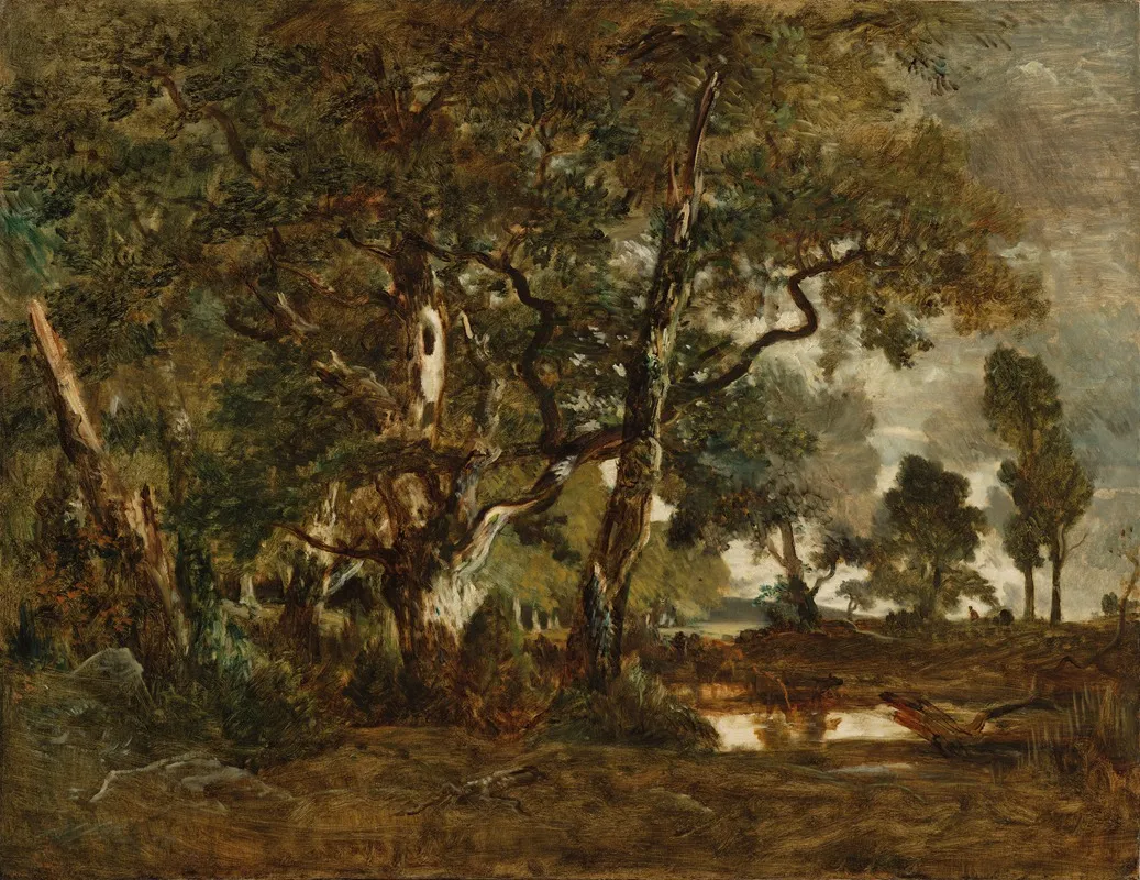 Forest Of Fontainebleau Cluster Of Tall Trees Overlooking The Plain Of Clair Bois At The Edge Of Ba